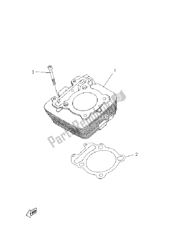 All parts for the Cylinder of the Yamaha YFM 250R 2011