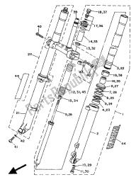 forcella anteriore