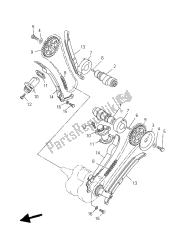 CAMSHAFT & CHAIN