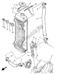 tuyau de radiateur