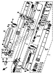 forcella anteriore