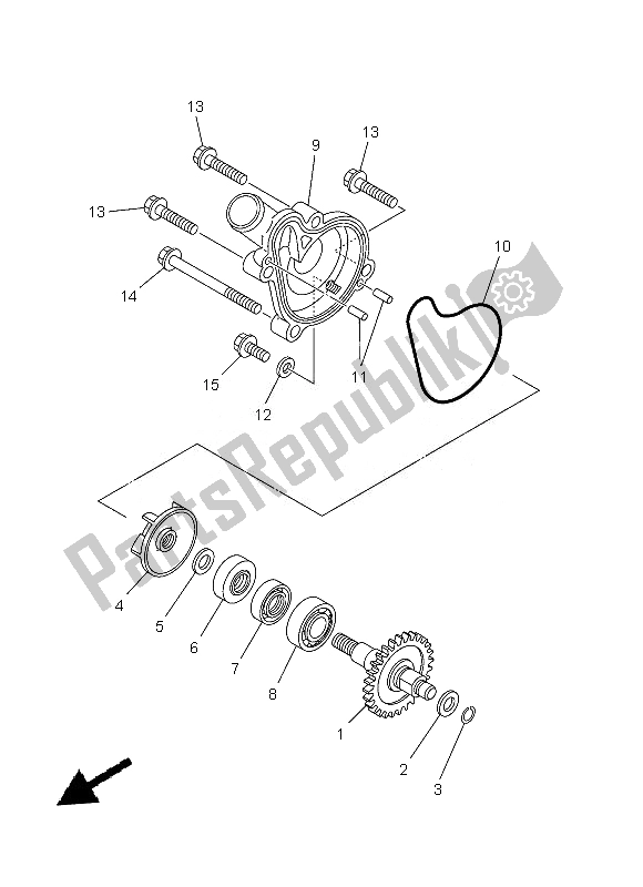 All parts for the Water Pump of the Yamaha WR 250F 2013