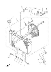 tubo del radiatore