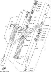 forcella anteriore