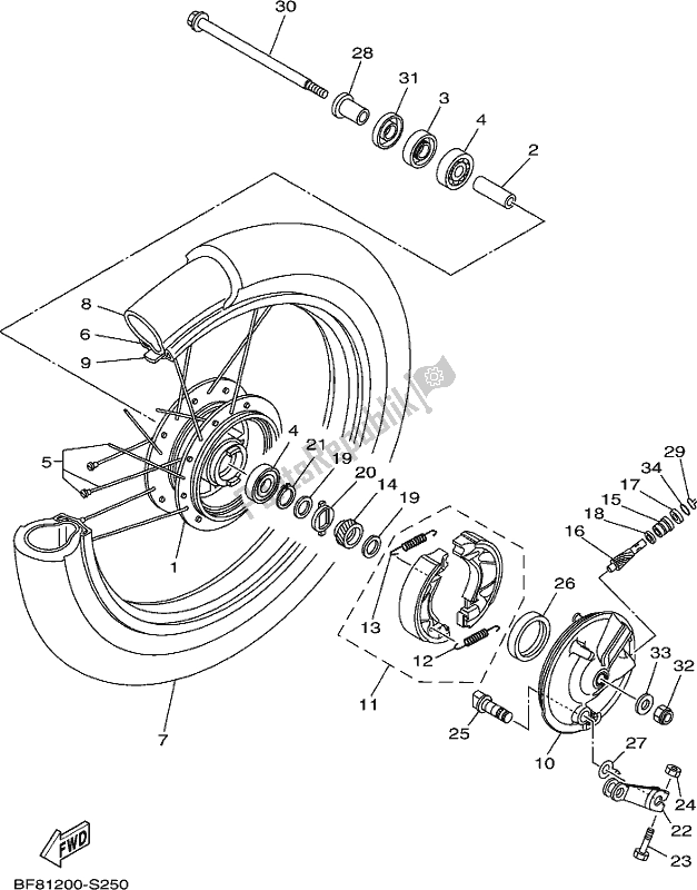 All parts for the Front Wheel of the Yamaha AG 125 2019