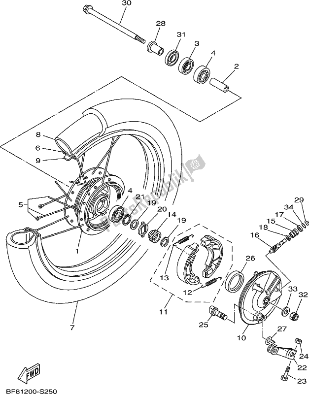 All parts for the Front Wheel of the Yamaha AG 125 2020