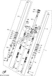 forcella anteriore