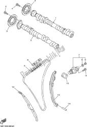 CAMSHAFT & CHAIN