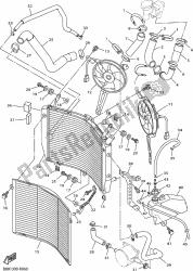 RADIATOR & HOSE