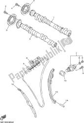 CAMSHAFT & CHAIN