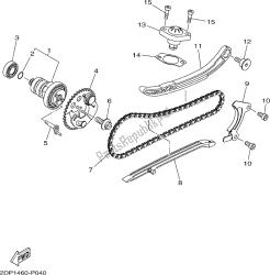 CAMSHAFT & CHAIN