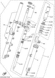 forcella anteriore