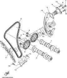 CAMSHAFT & CHAIN