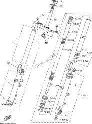 forcella anteriore