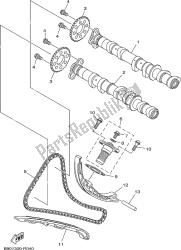 CAMSHAFT & CHAIN