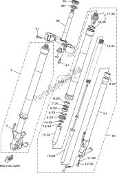 forcella anteriore