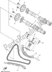 CAMSHAFT & CHAIN