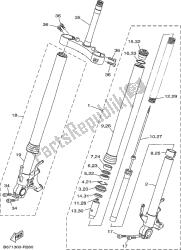 forcella anteriore