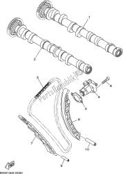 CAMSHAFT & CHAIN