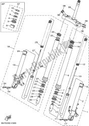 forcella anteriore