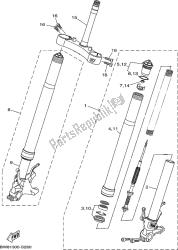 forcella anteriore