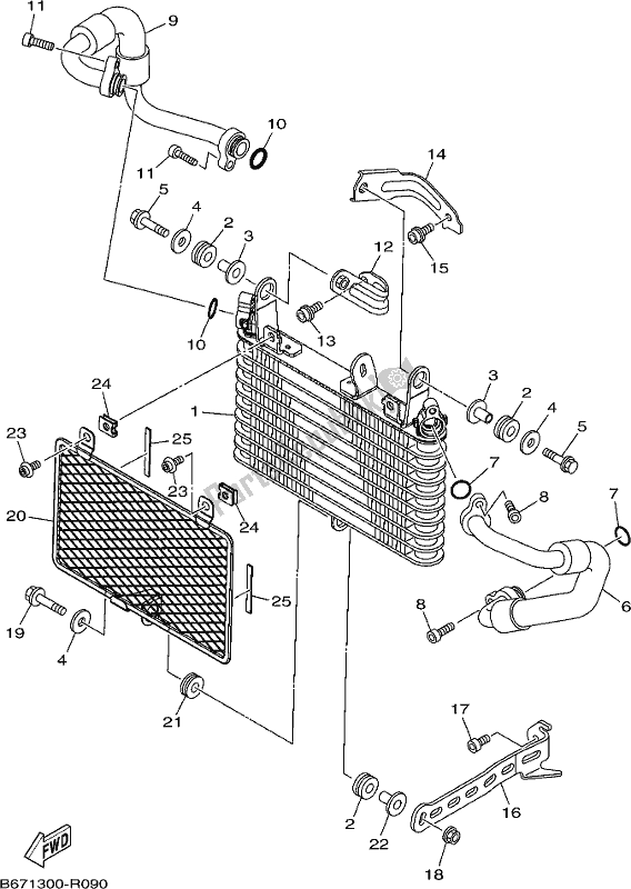 Toutes les pièces pour le Refroidisseur D'huile du Yamaha MTN 1000 2019