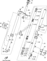 forcella anteriore