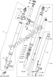 forcella anteriore