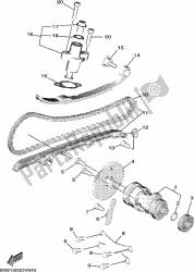 CAMSHAFT & CHAIN