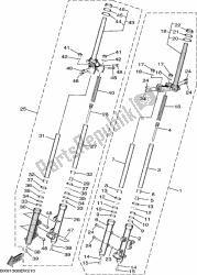 forcella anteriore