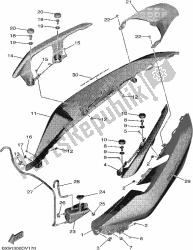 tampa lateral