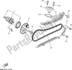 CAMSHAFT & CHAIN