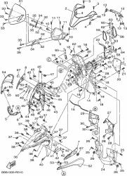 LEG SHIELD