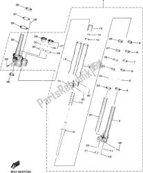 forcella anteriore 1