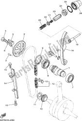 CAMSHAFT & CHAIN