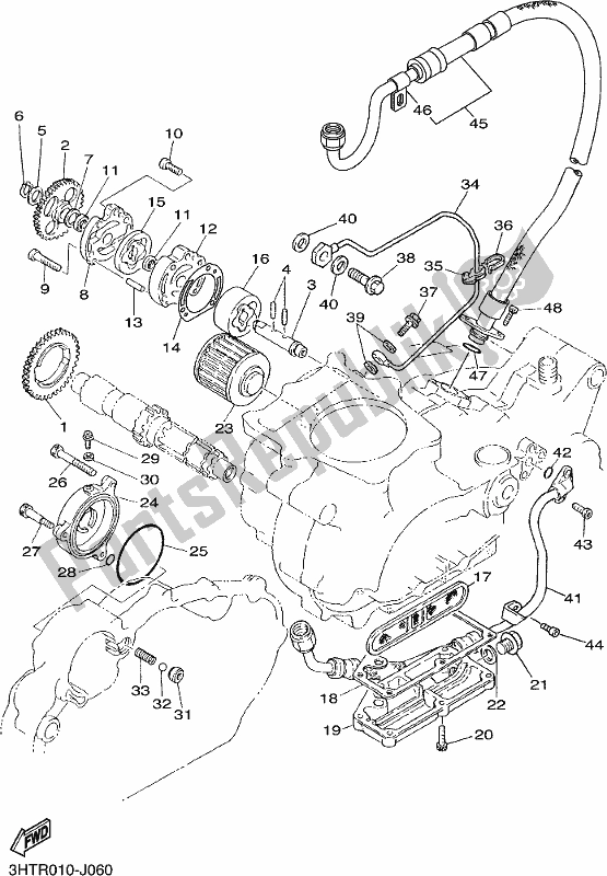 All parts for the Oil Pump of the Yamaha SR 400 2018