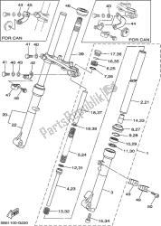 forcella anteriore