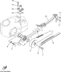 CAMSHAFT & CHAIN