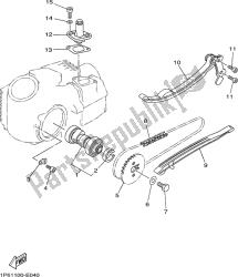 CAMSHAFT & CHAIN