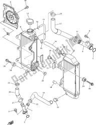 RADIATOR & HOSE