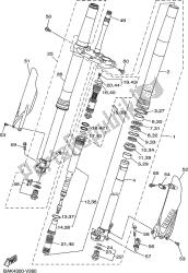 forcella anteriore