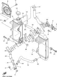 RADIATOR & HOSE