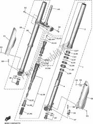 forcella anteriore