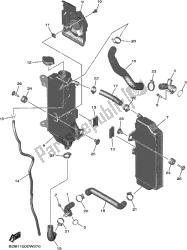 tubo del radiatore