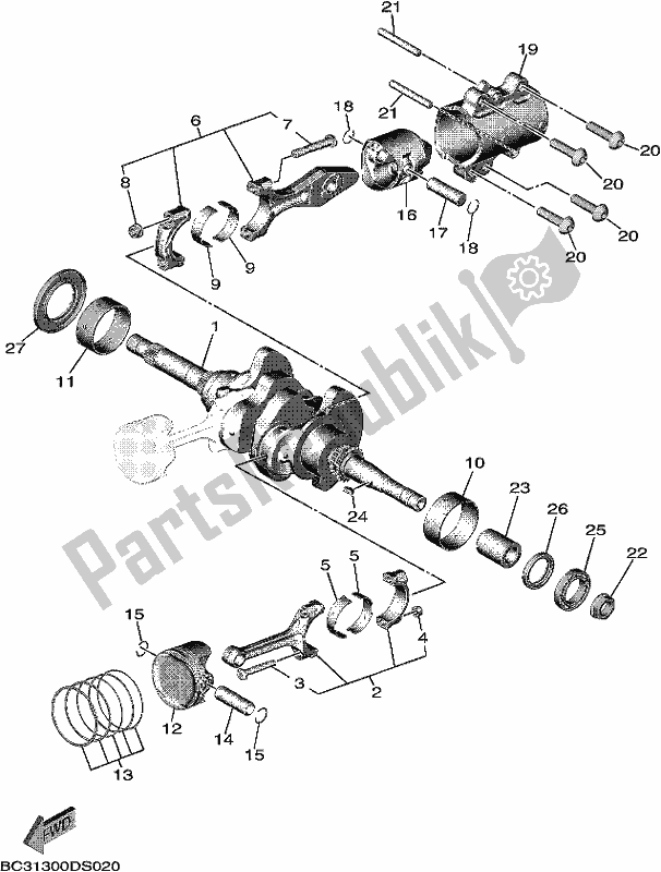 Todas las partes para Cigüeñal Y Pistón de Yamaha XP 530-A 2019