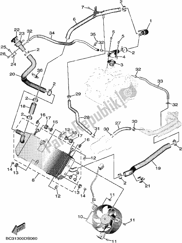 All parts for the Radiator & Hose of the Yamaha XP 530A 2018