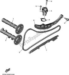 CAMSHAFT & CHAIN