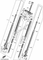 forcella anteriore