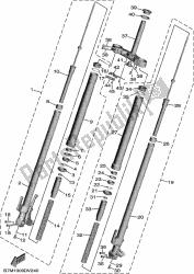 forcella anteriore