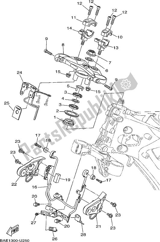 All parts for the Steering of the Yamaha XSR 900 AK MTM 850K 2019